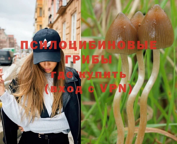 прущая мука Абаза