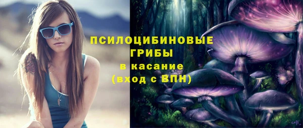 МДПВ Абинск