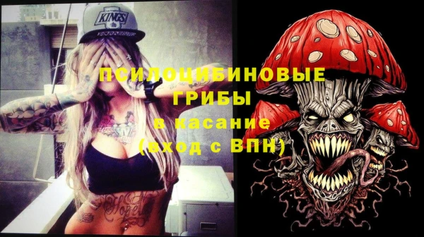 МДПВ Абинск