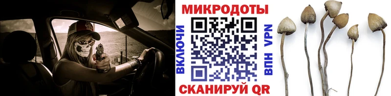 наркотики  Новотроицк  Псилоцибиновые грибы Psilocybine cubensis 