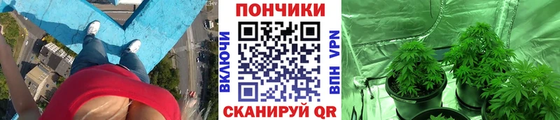 Бошки Шишки LSD WEED  мориарти состав  Новотроицк 
